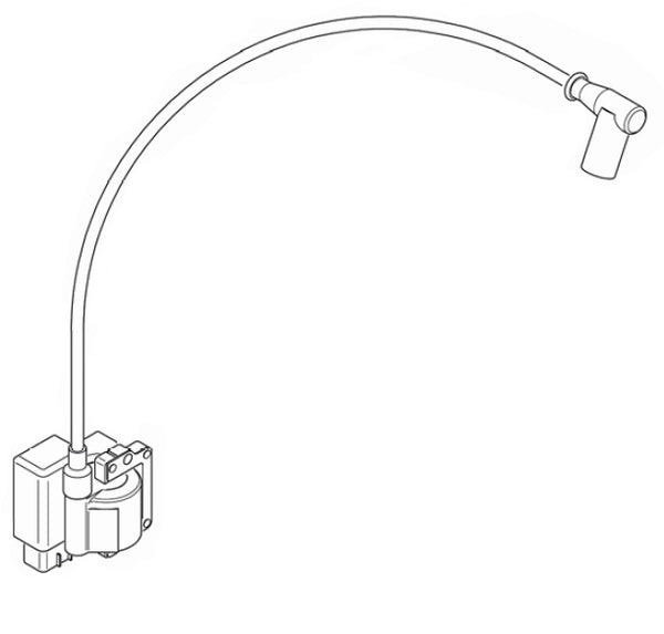 IGNITION COIL - DD2 - PRE EVO