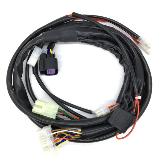 WIRING LOOM SELETTRA (Black Stator Plug)